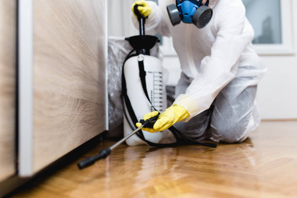 Best Bed Bug Extermination  in Freedom, CA