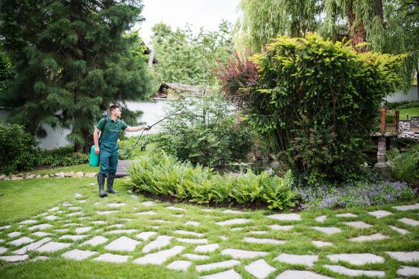 Best Emergency Pest Control  in Freedom, CA