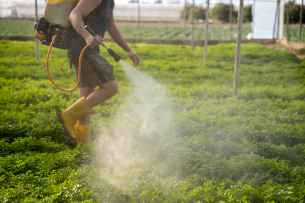 Best Commercial Pest Control Services  in Freedom, CA