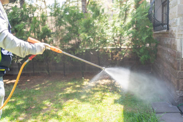 Best Best Pest Control Companies  in Freedom, CA