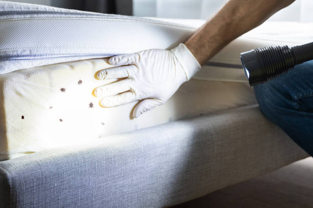 Best Commercial Pest Control Services  in Freedom, CA