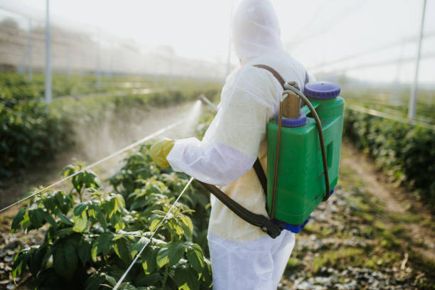 Best Mosquito Control Services  in Freedom, CA